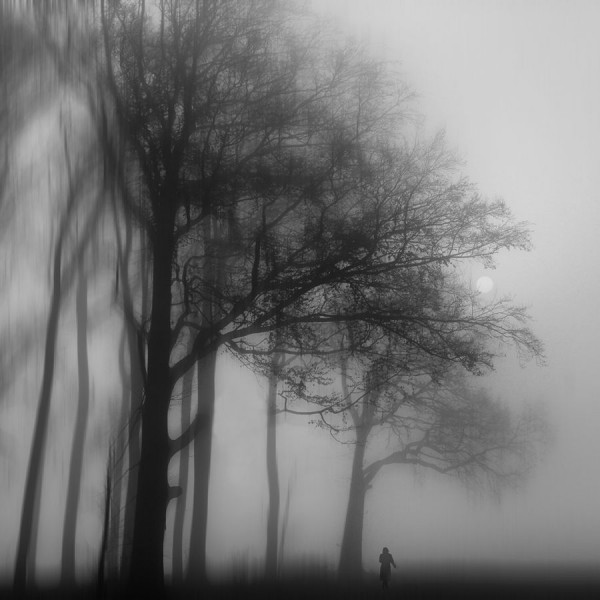 Angoissante forêt, Bruno Suignard
