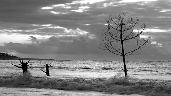 Dans l'eau, Philippe Seguela