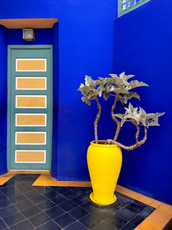 Majorelle, Sylvain Marcouiller